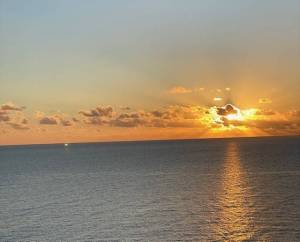 IMG_2978_original